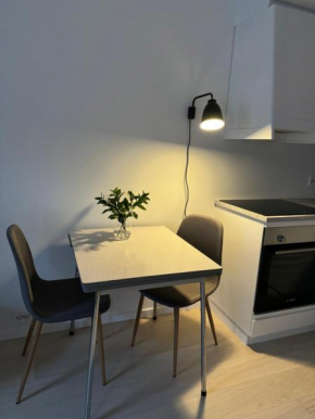 Liten og moderne hybel med gratis parkering